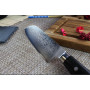 Couteau santoku japonais Satake Helios 18cm damas 69 couches