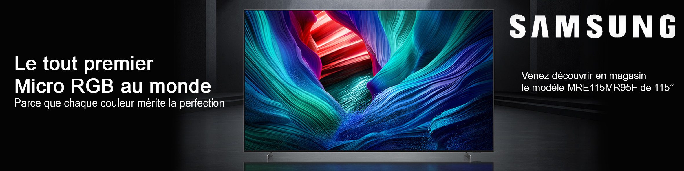 TELEVISEUR SASMUNG MICRO RGB